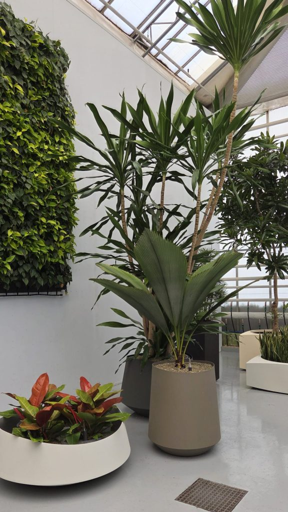 Calculating Fachjan’s ‘Footprint’