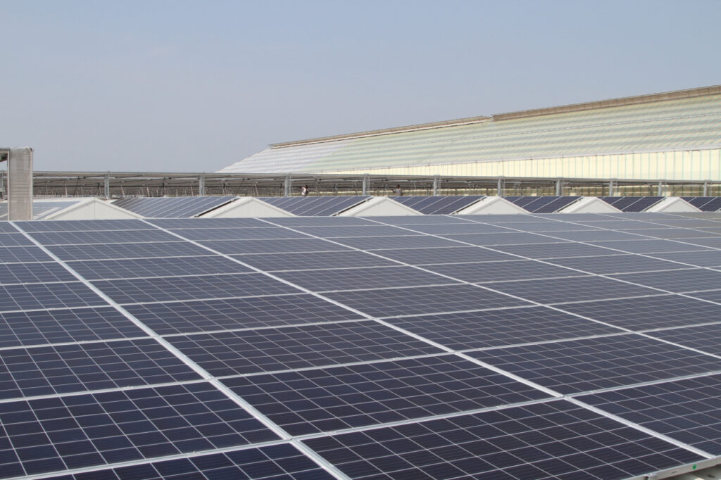 Fachjan en duurzaamheid. Zonnepanelen op het dak.