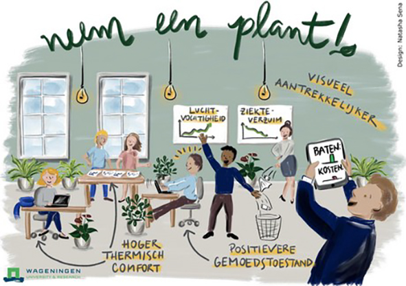 “Kosten voor aanschaf planten zijn in 1 jaar terugverdiend”
