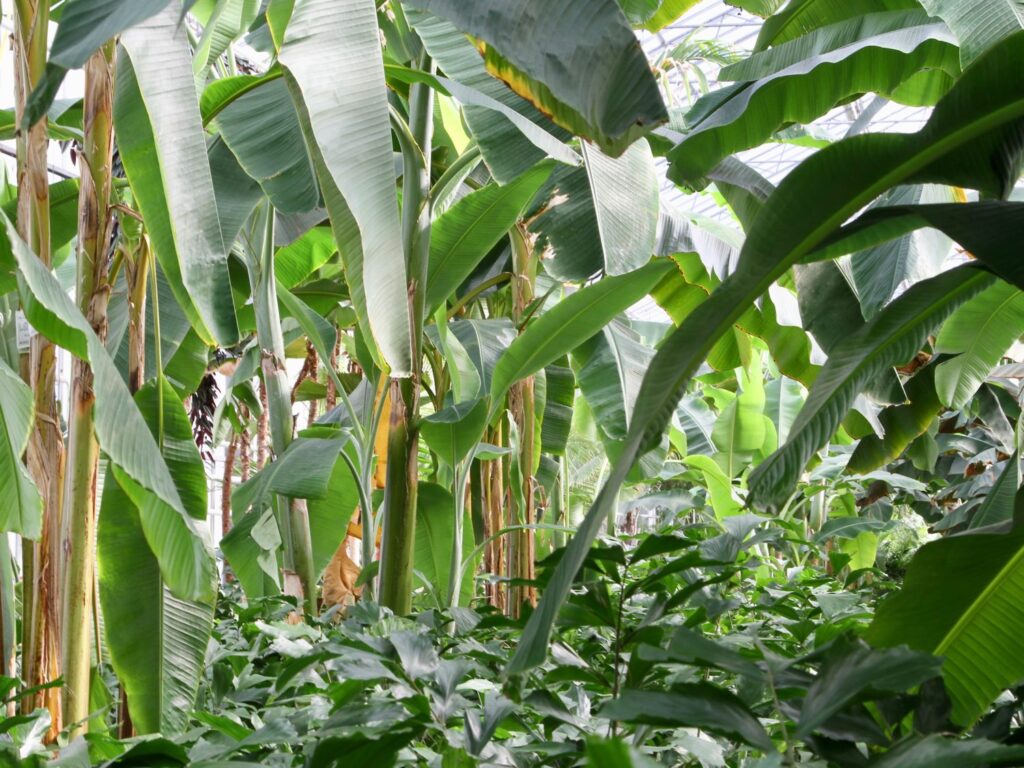 100% CO2 neutral, 2nd year