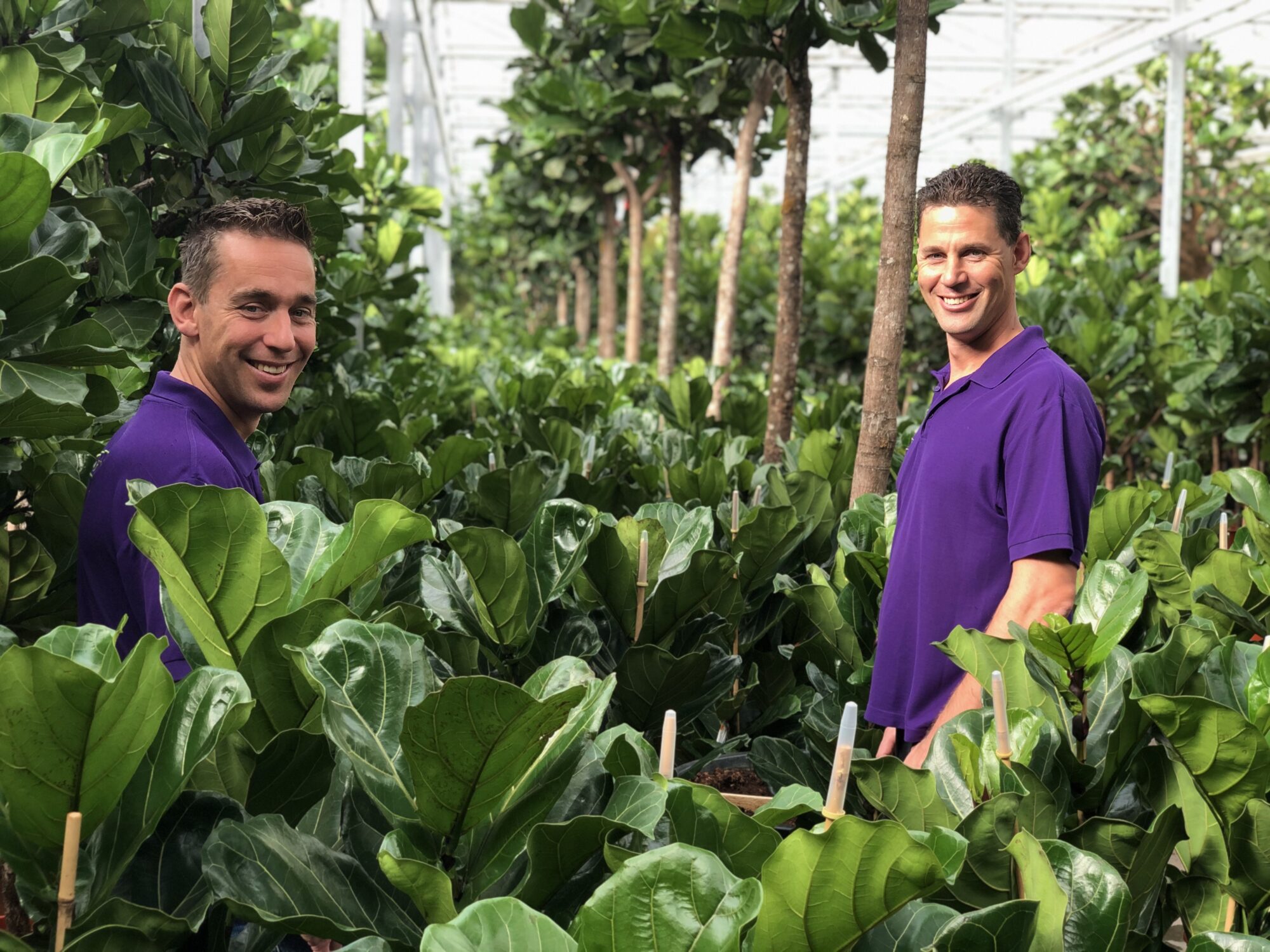 For the third consecutive year, Fachjan has offset its entire CO2 emissions by planting bamboo.