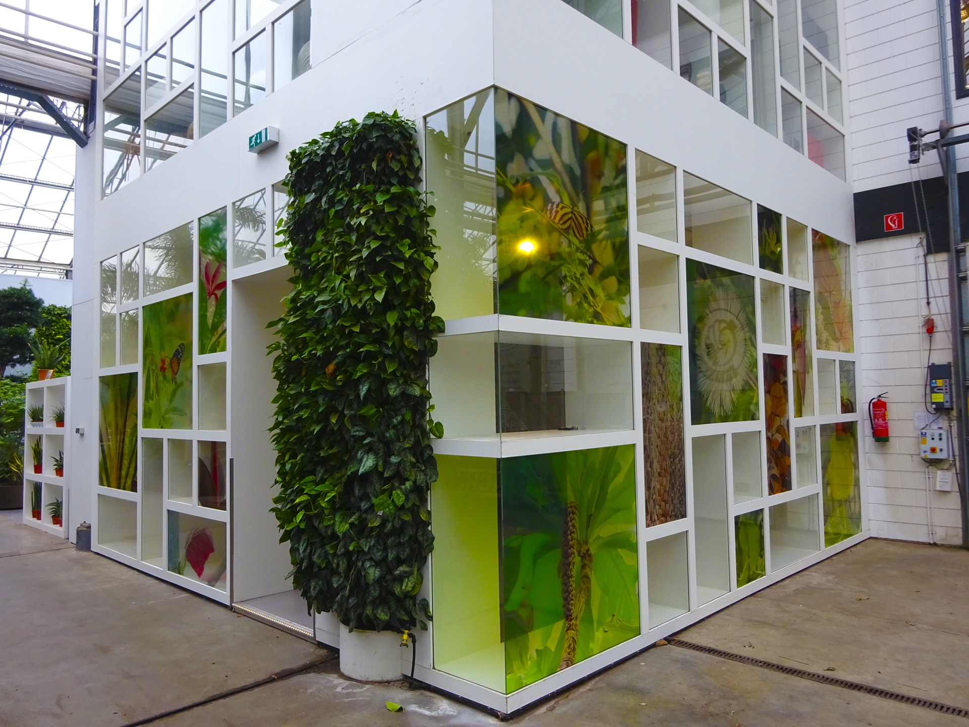 Renovated Fachjan reception area