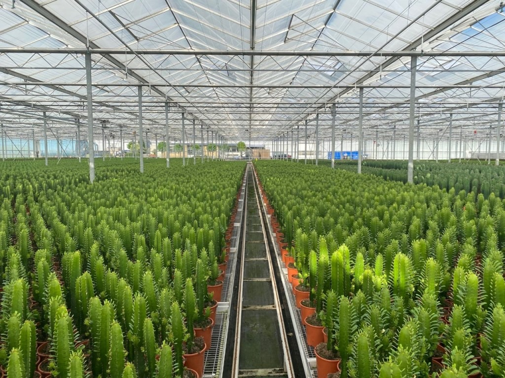 Fachjan continues to expand