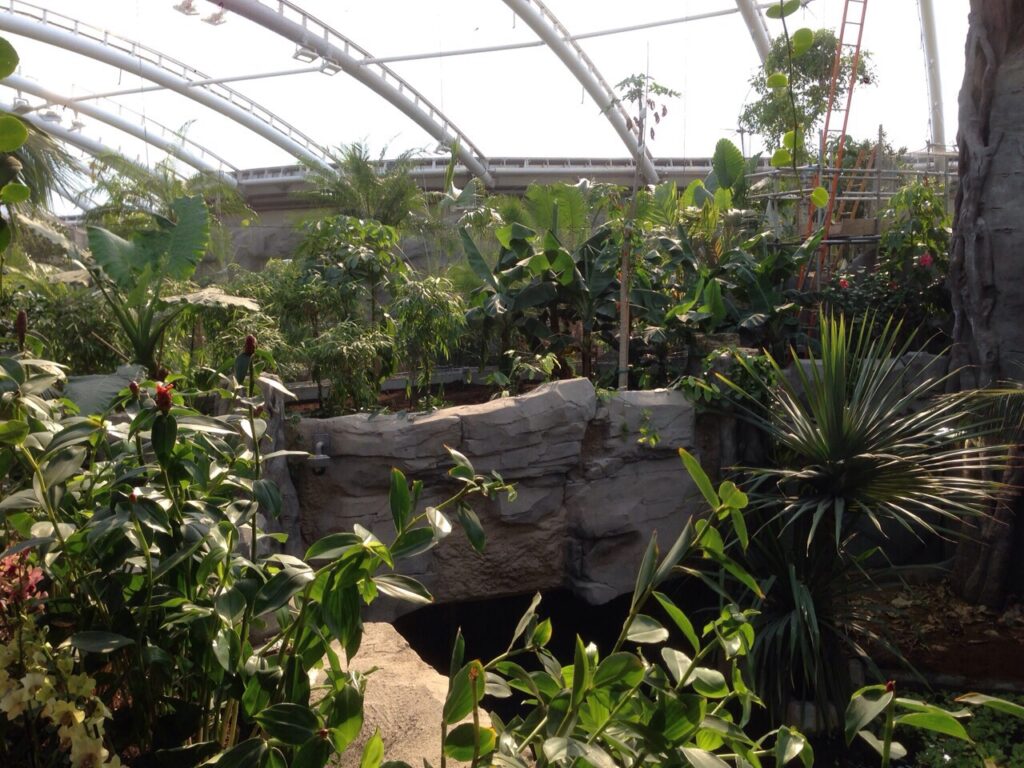 Chester Zoo – July 2015