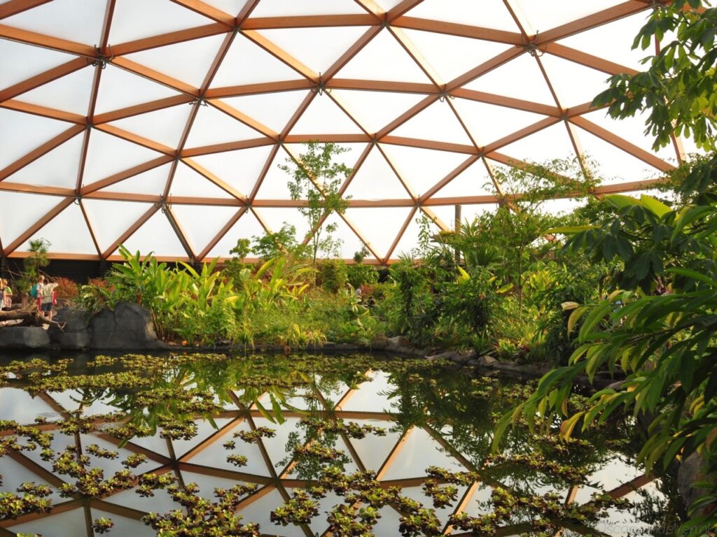 Blijdorp vlindertuin – mei 2013